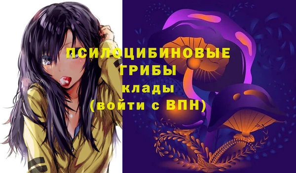 гашик Алзамай